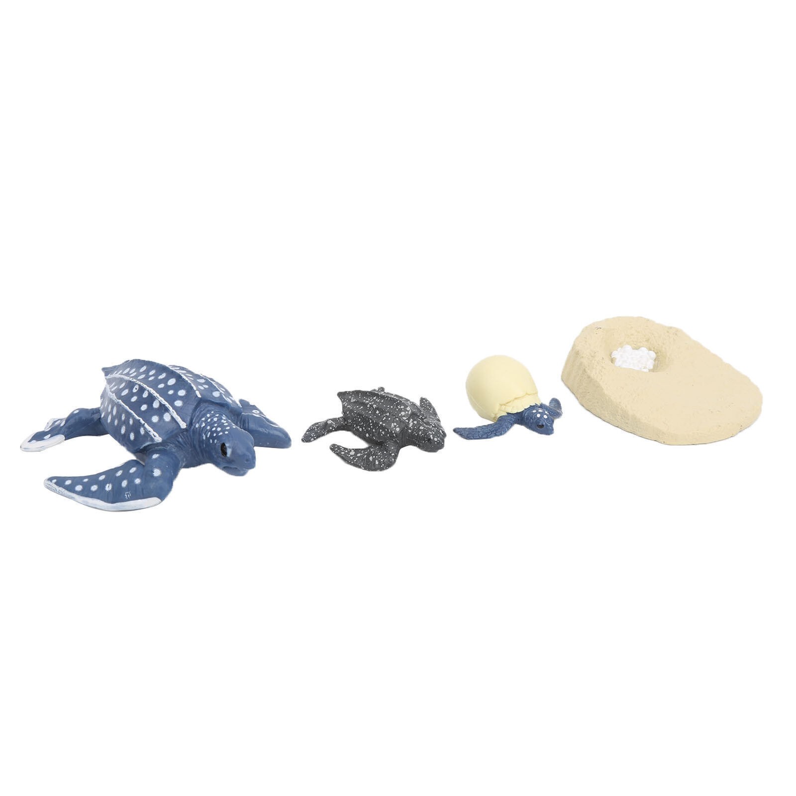 The Simulation Animal Model Sea Life Animals Life Cycle Cognitive Model