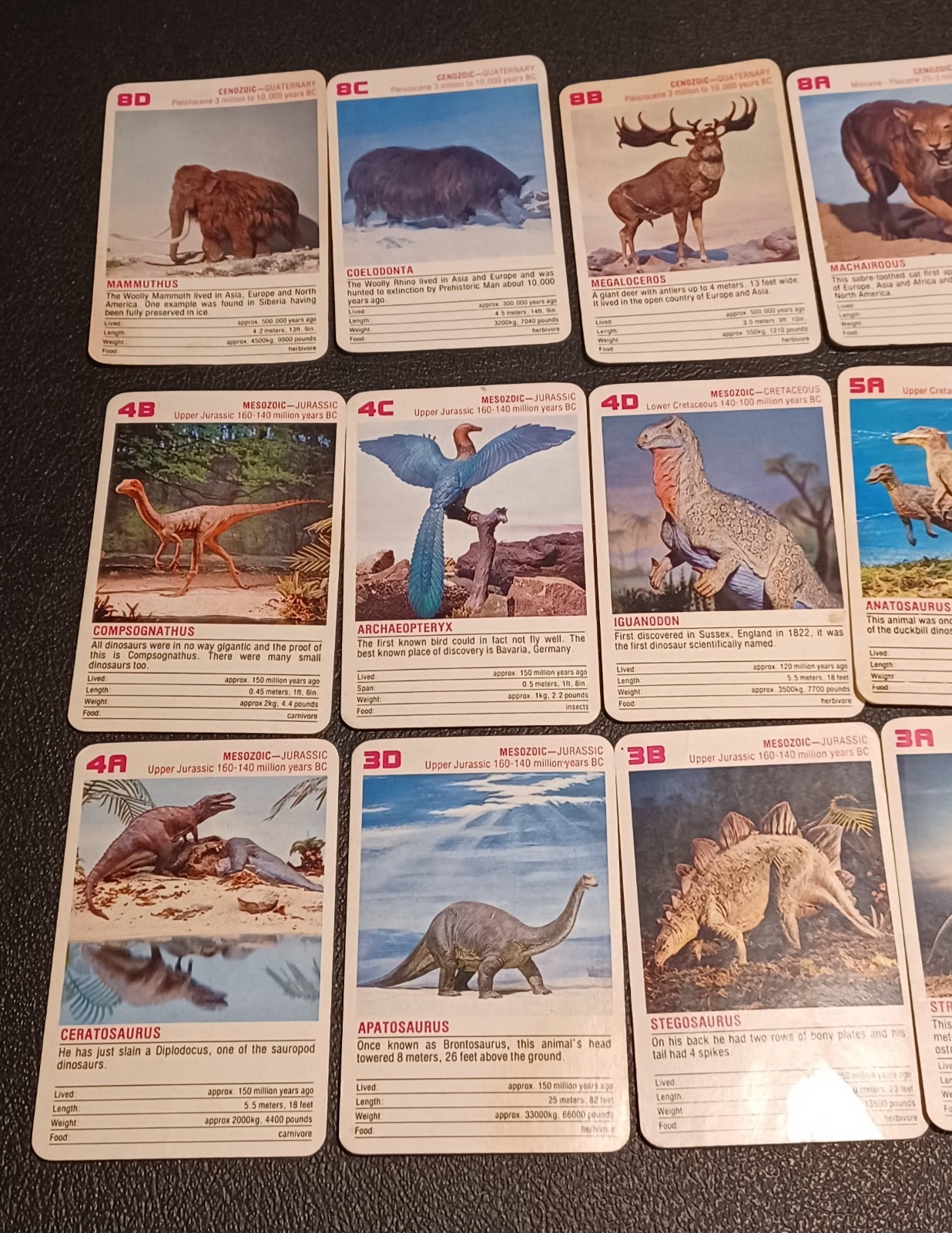 2 Sets / Vtg 60+ DINOSAURS Flash Cards Identification Cards Learning Teaching -Z
