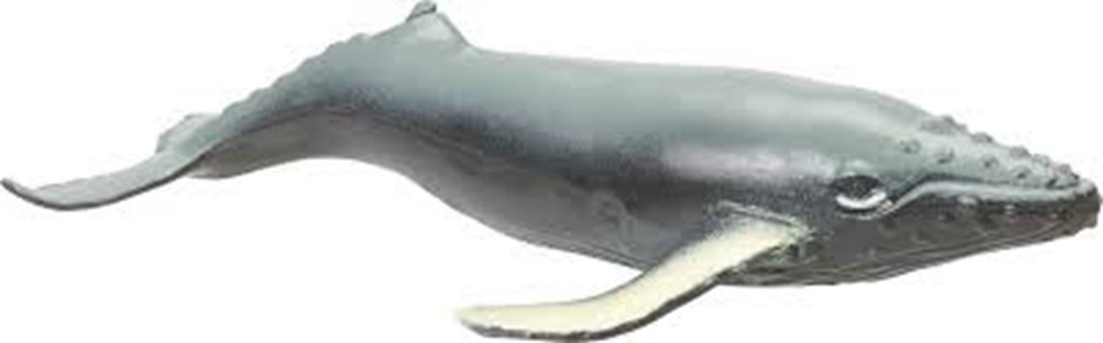 Toysmith Ocean Squishimals Shark Dolphin Whale or Hammerhead Sensory CHOOSE ONE