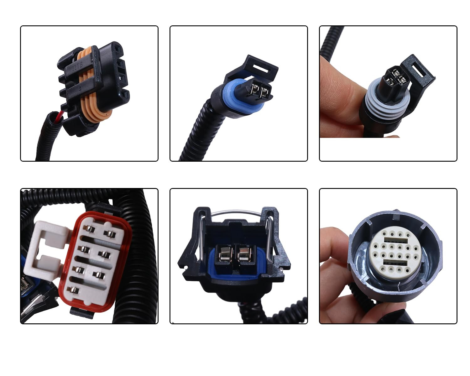Standalone Harness with 4L80E DBC Compatible with 1997-2006 DBC LS1 4.8 5.3 6.0