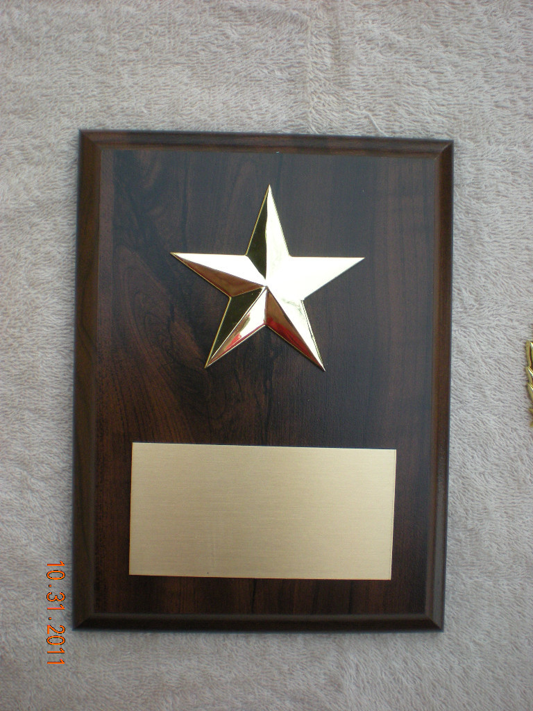 Recognition/Retirement Award Plaque 6×8 Trophy FREE custom engraving
