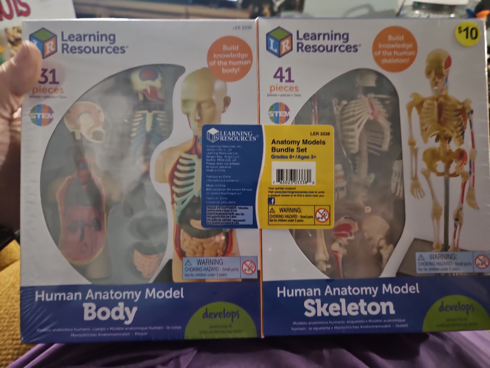 Learning Resources Anatomy Models Bundle Set Brain Body Heart Skeleton Classr…