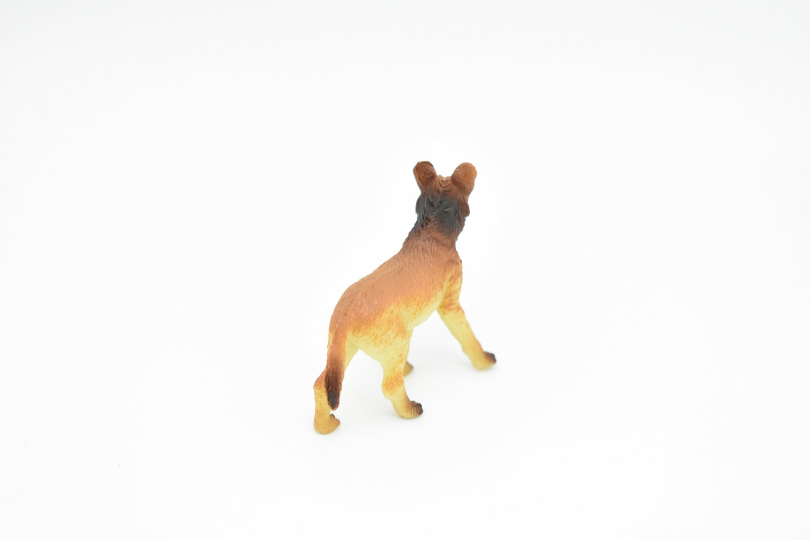 Dingo, Wild Dog Toy Very Nice Plastic Animal, 2 1/2 ” CWG134 B238