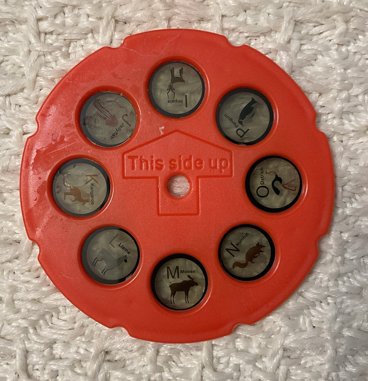Animal Planet Fun to Trace Projector – 4 REPLACEMENT DISKS Only