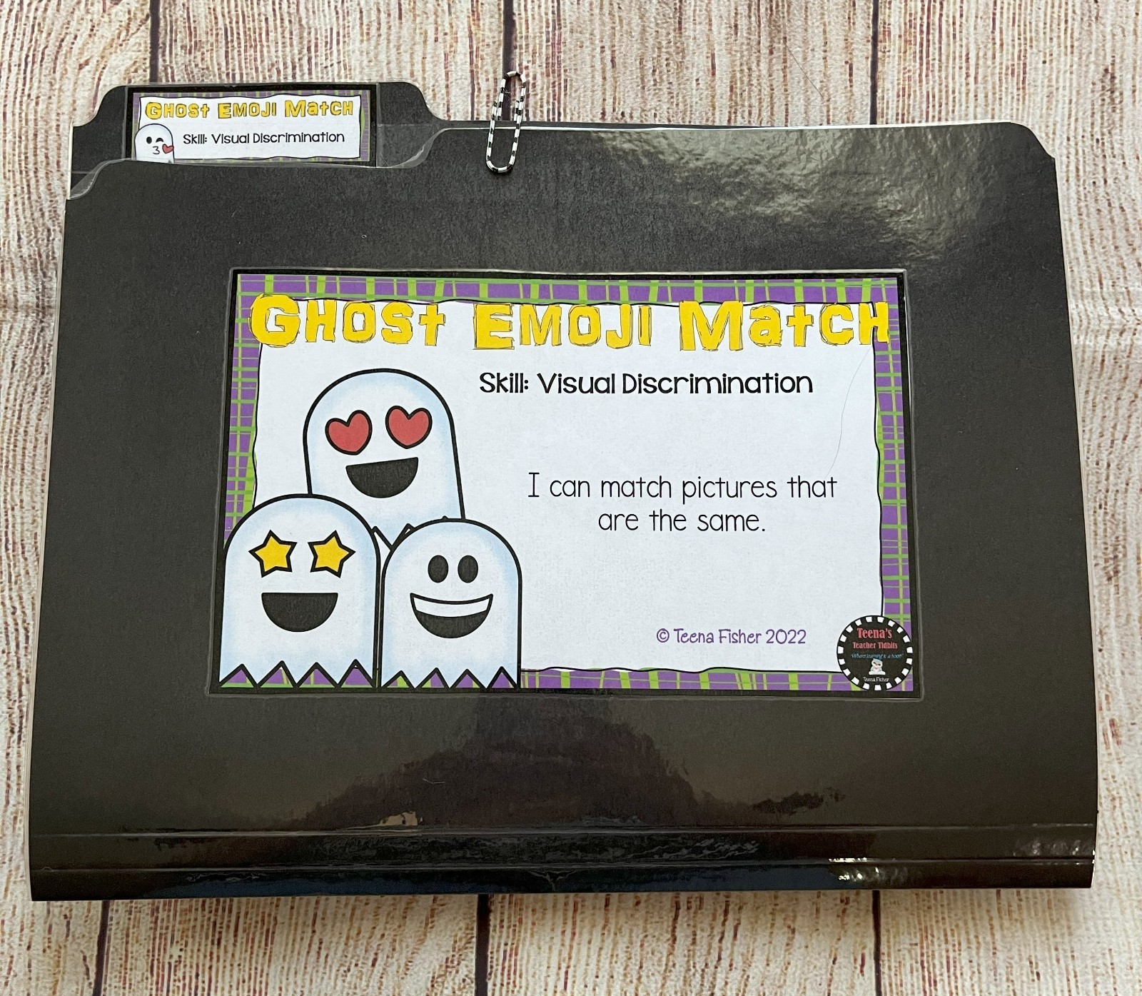 Ghost Face Matching File Folder Game Visual Discrimination Education Autism