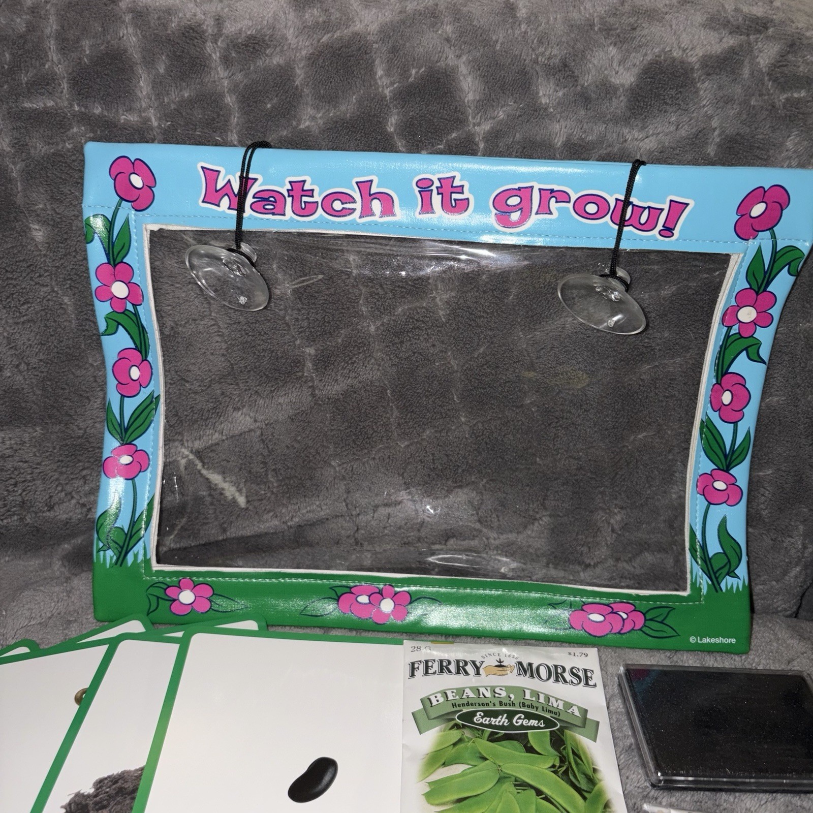 Lakeshore Life Cycles Biology Theme Box Butterfly Frog Greenhouse USA Animals