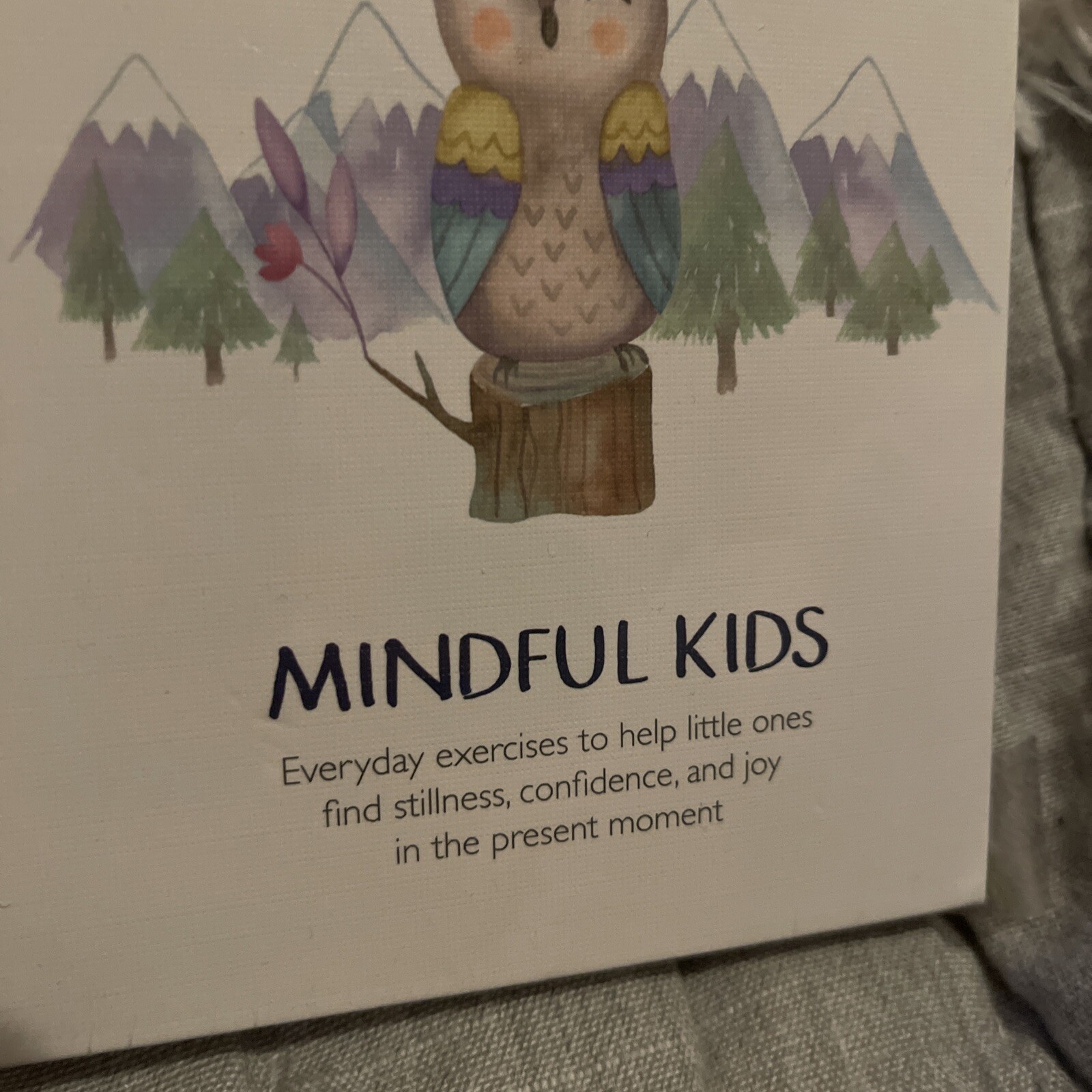NEW Little Renegades Mindful Kids Cards: Everyday Exercises for Confidence & Joy