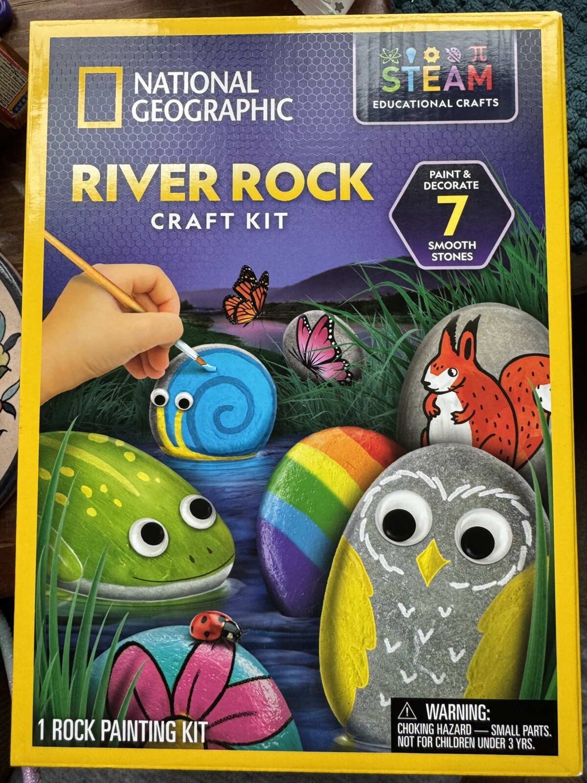 National Geographic River Rock Craft Kit Everything Included STEAM Educational