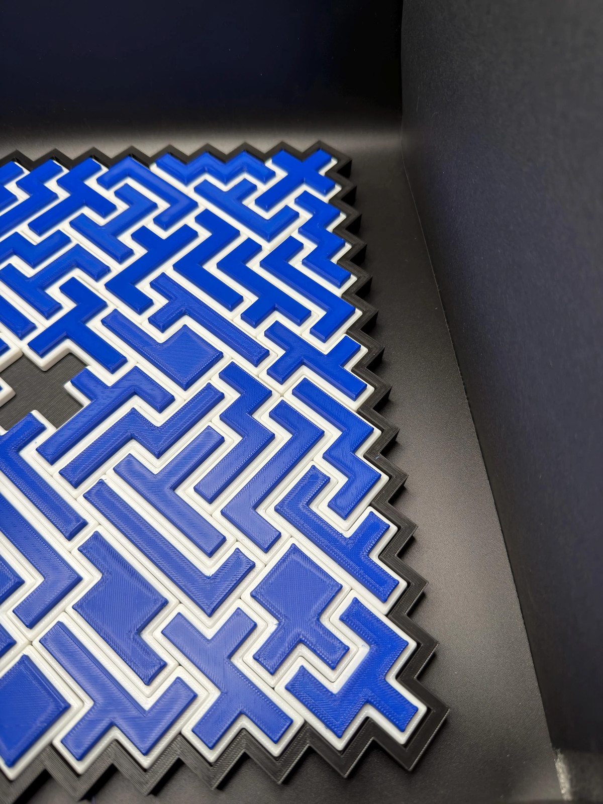One-Sided Hexominoes Puzzle | 60 Piece Mathematical Packing Challenge |