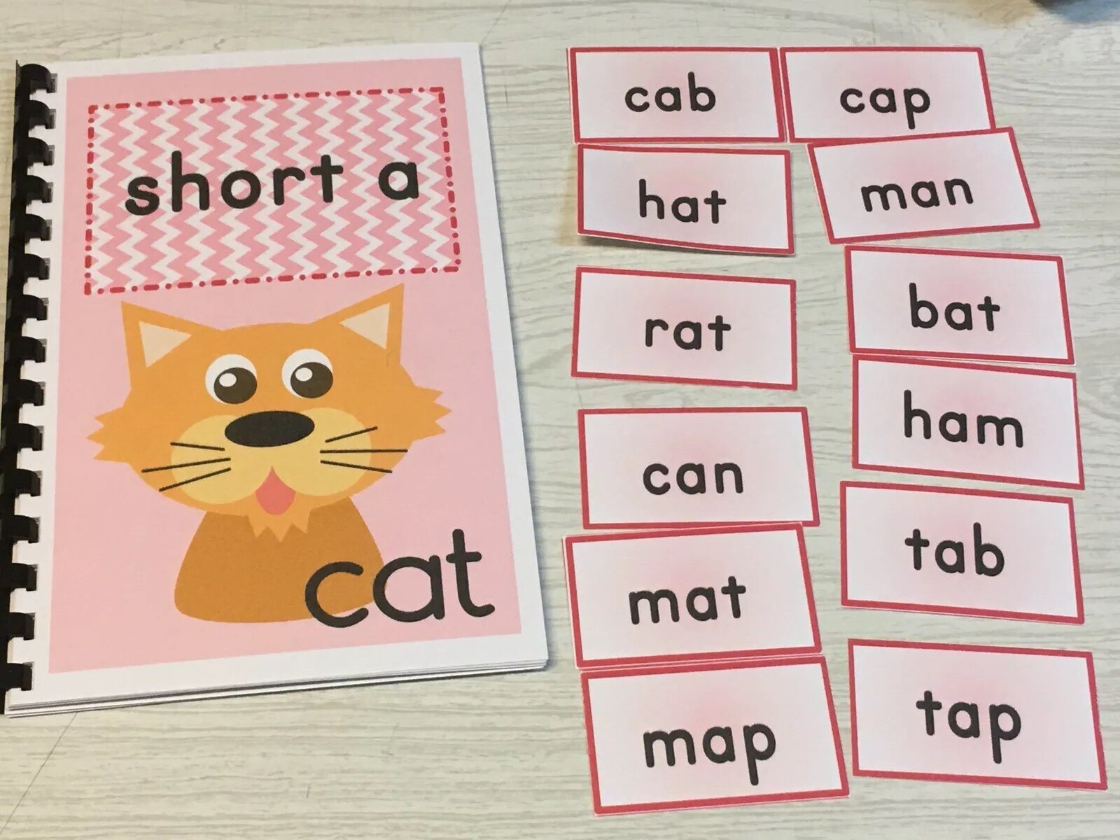 Interactive Learning Books for Children – Short “a” book – w/ 12 Laminated Cards