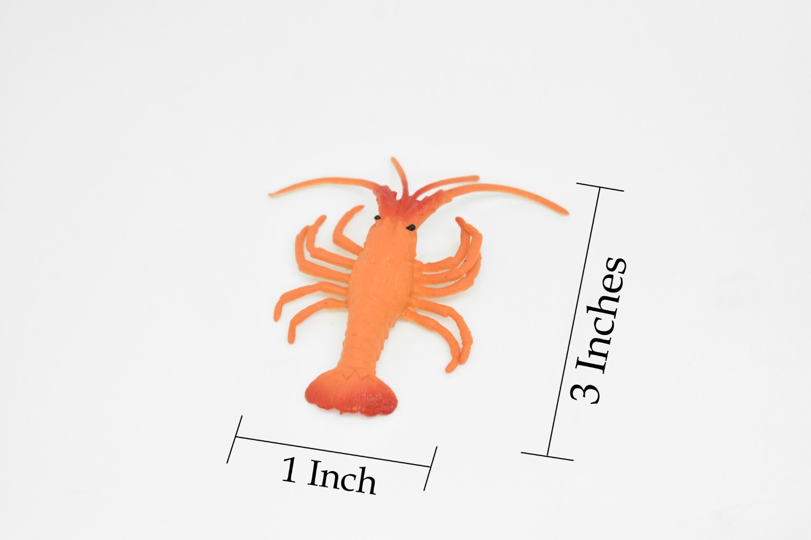 Lobster Toy, California spiny lobster, Realistic Plastic Replica 3″ CWG275 B46