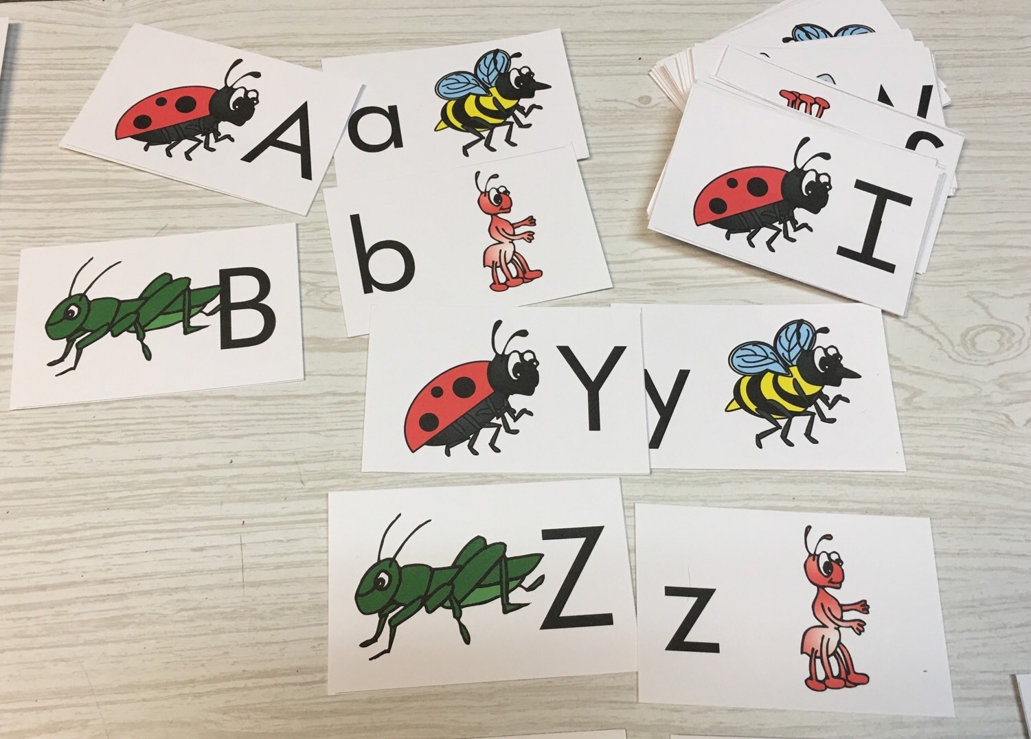INSECTS-THEMED Learning Activities Package LAMINATED preschool Daycare