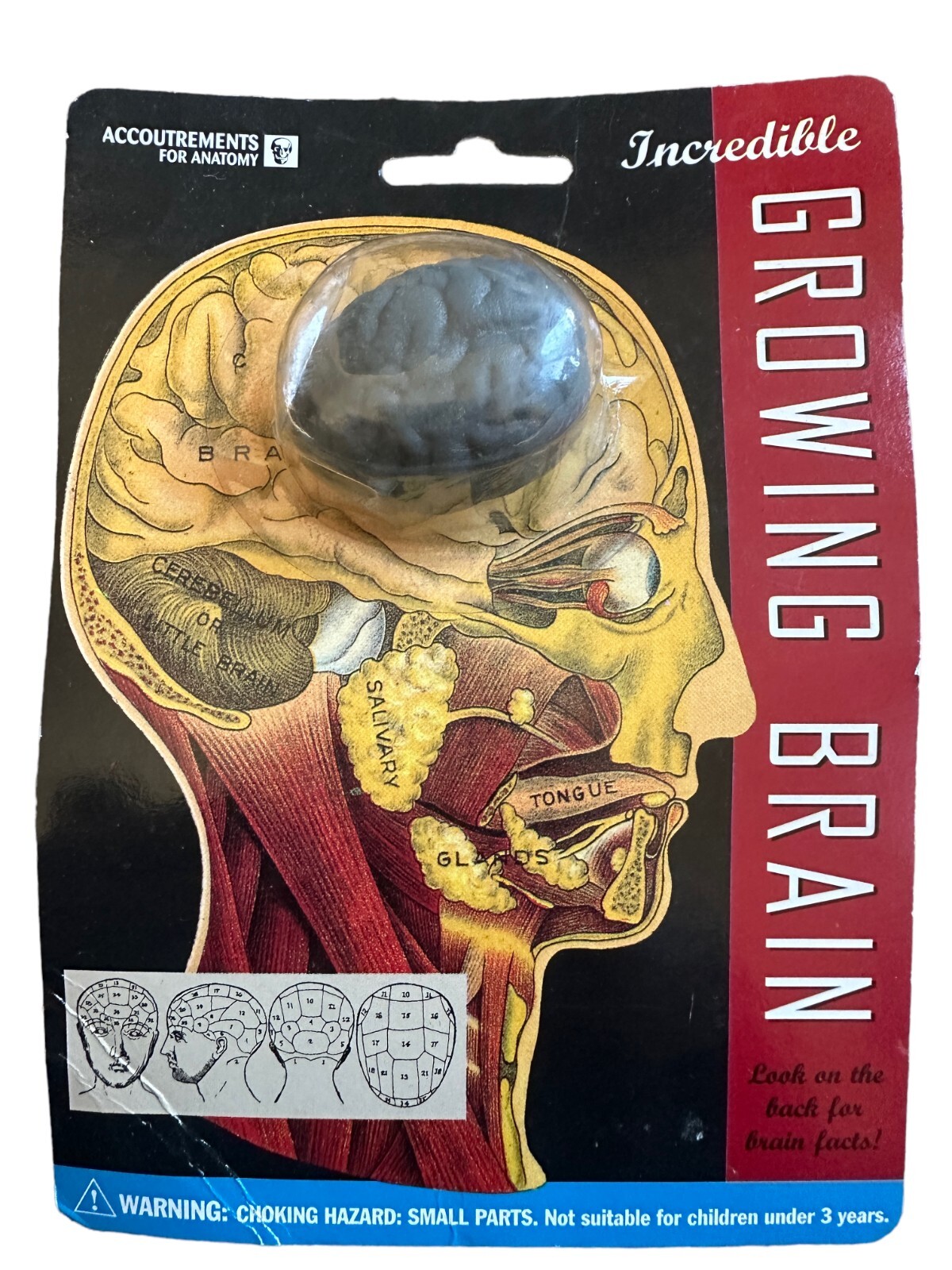 Grow Your Own Brain Water Activated Toy Novelty Gag Gift Stocking Stuffer 90s