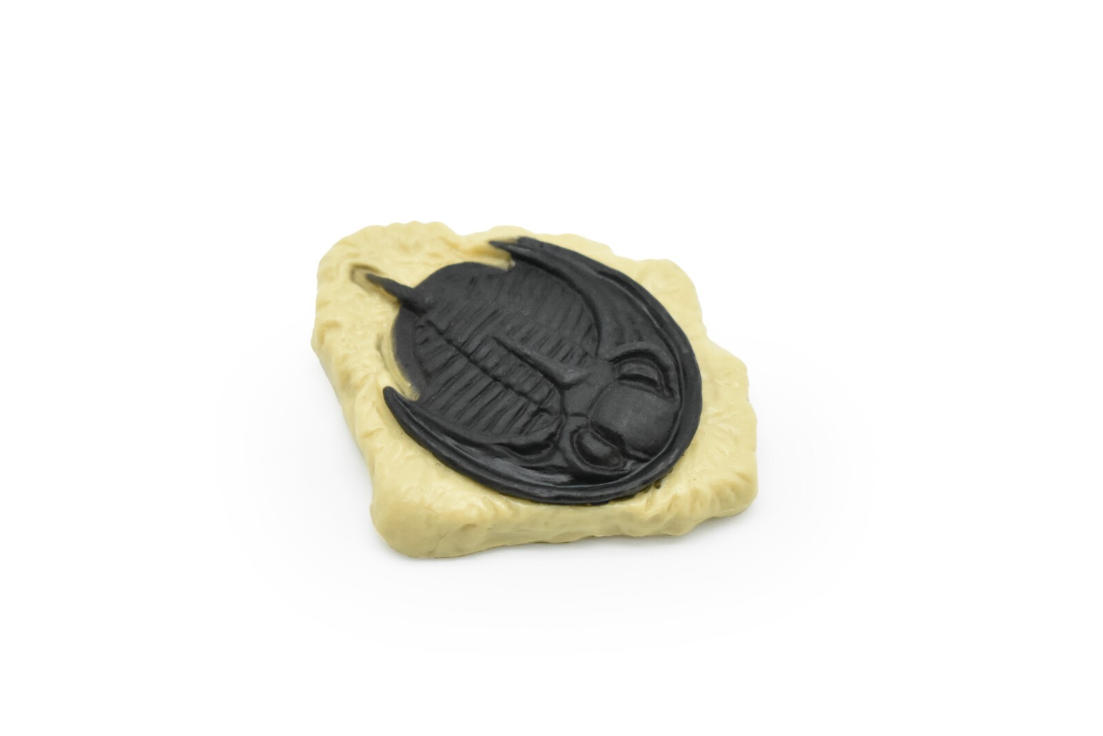 Trilobite Fossil Raymondites (2 Colors) Plastic Replica 2″ long – F4107 B96