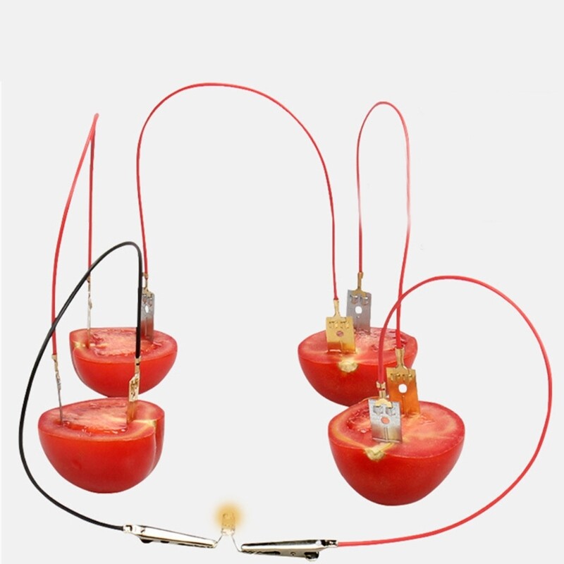 Hands on Assembly Toy Fruit Powered Science Experiment Set for Kid Teen 7 ＋