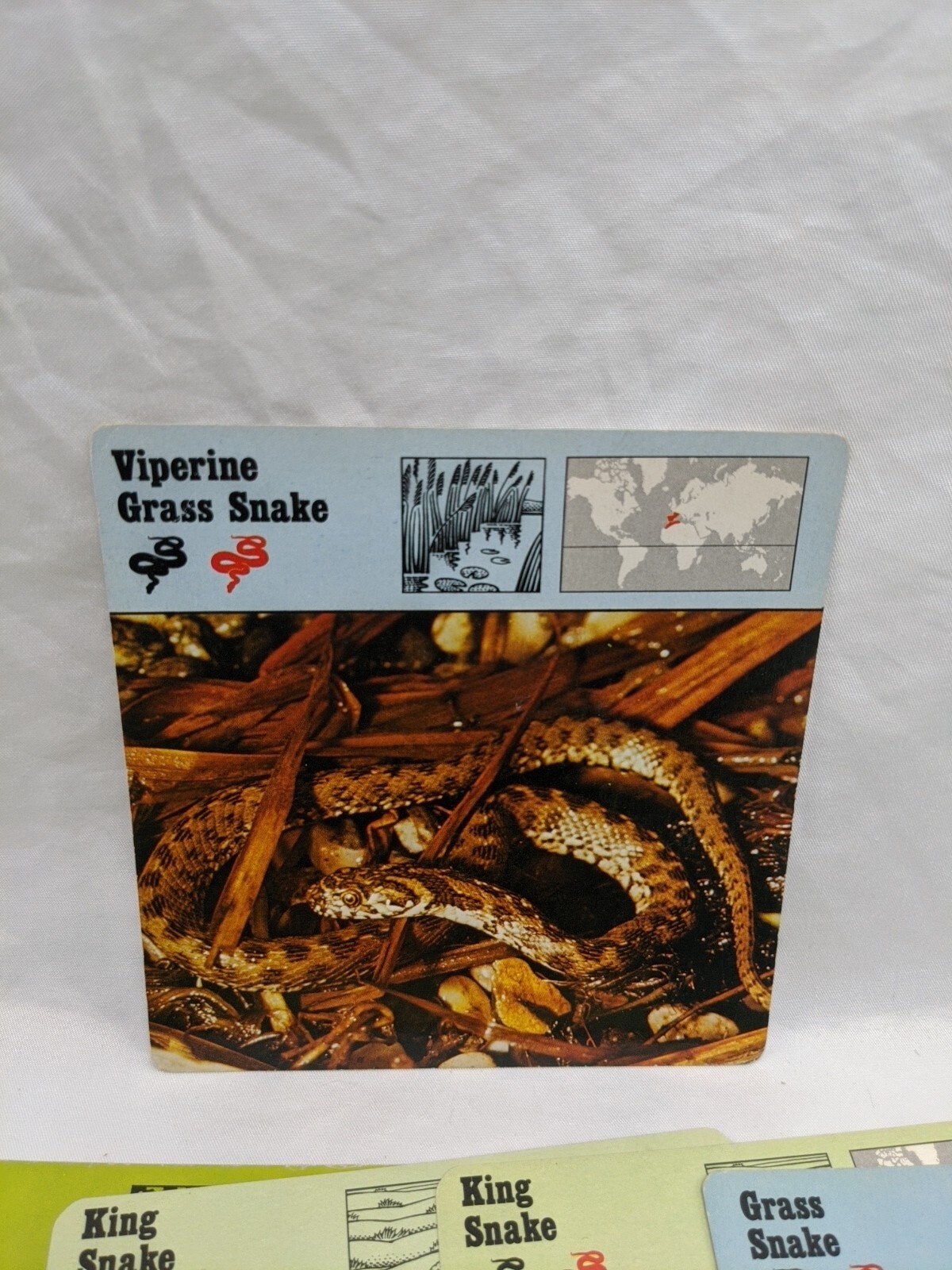 Lot Of (26) 1975 Rencontre Reptiles Education Cards