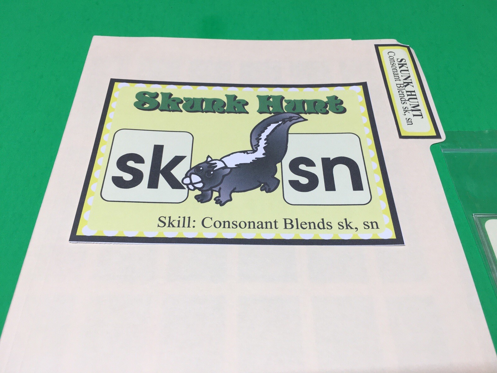 Skunk Hunt- Phonics Sn / Sk – DIY File Folder game – Printed / Uncut