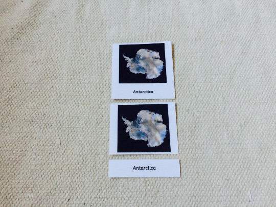 Montessori 7 Continents 5 Parts Cards