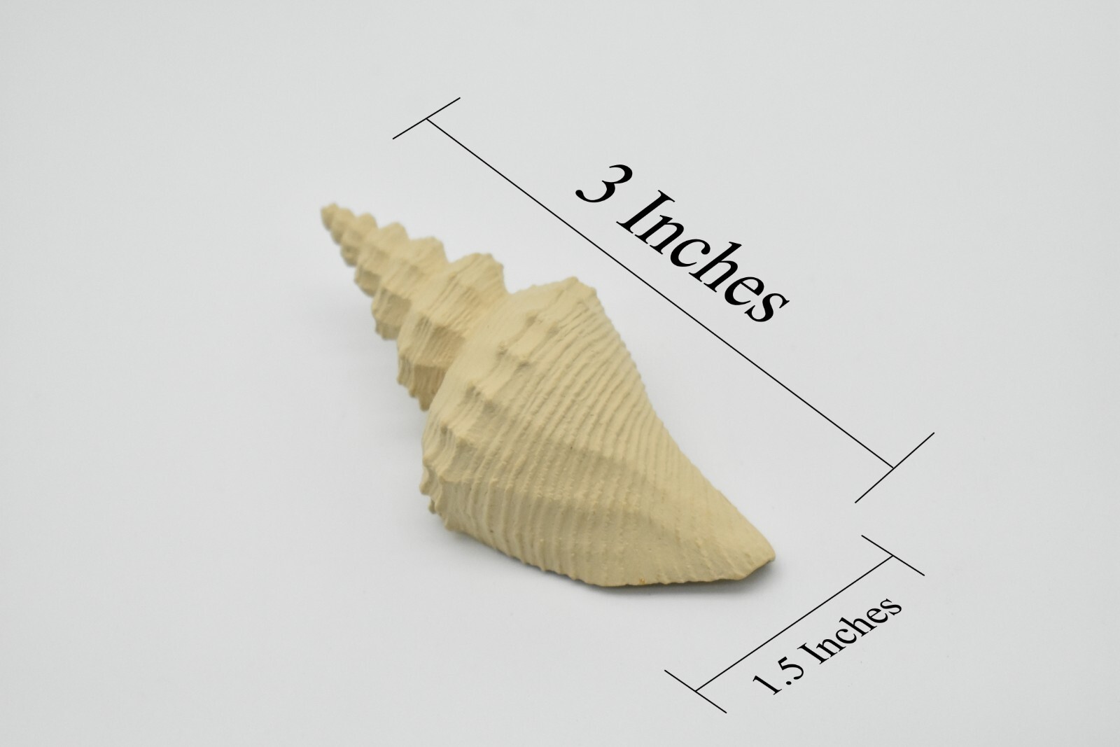 Tuba Shell Toy, White, Sea Snail, Ocean, Sea Shell, Gift, 3″ F4112 B96