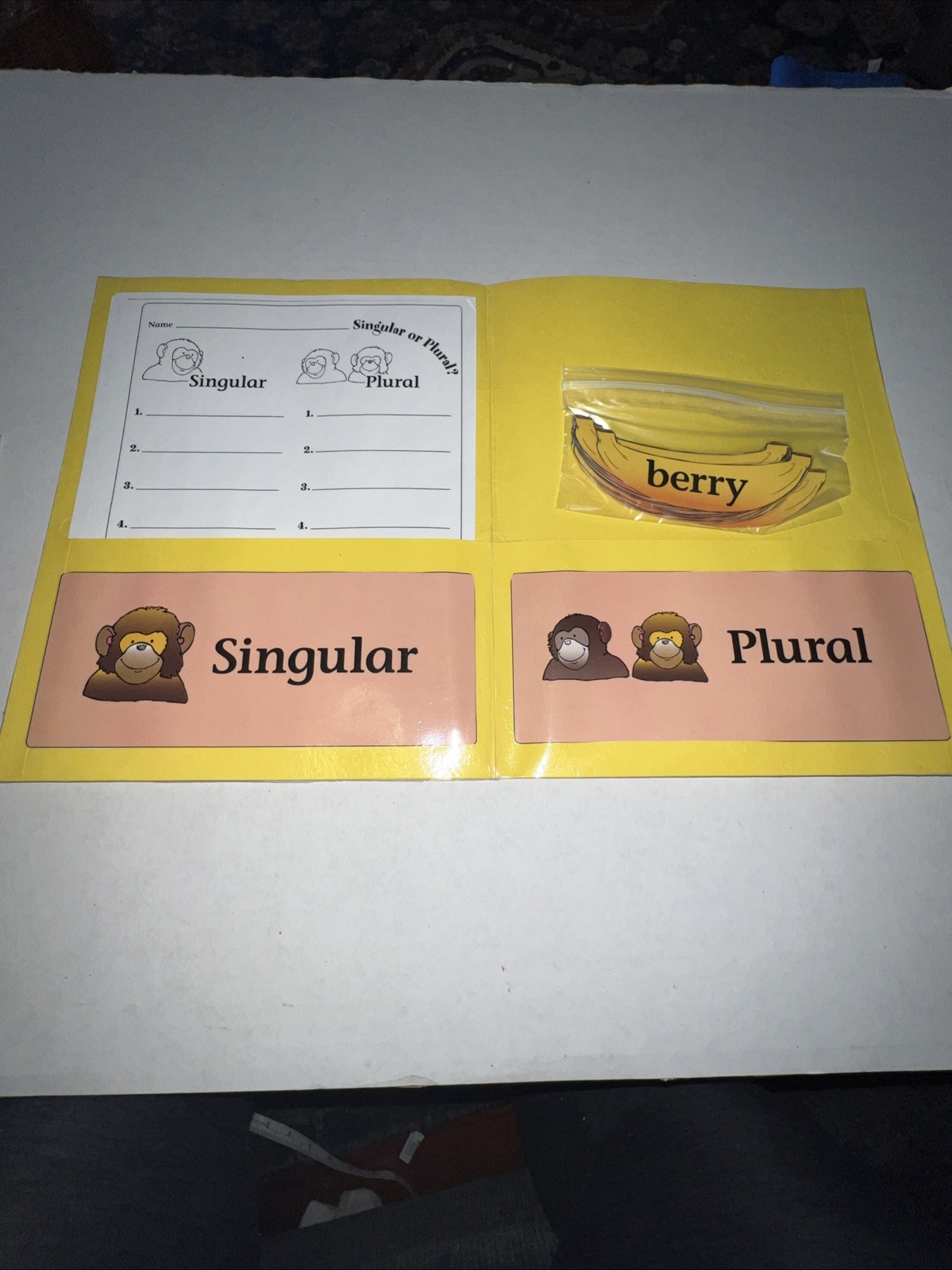 Singular Or Plural? Grades K-1 File Folder Game
