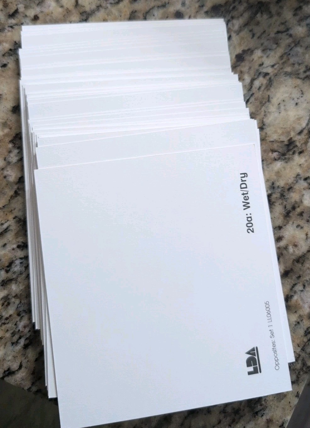 LDA Language cards Opposites Set One Skill Matching Elementary Homeschool