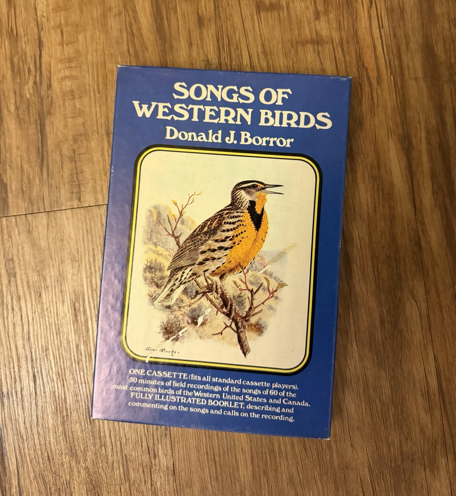 vintage educational cassette set titled Songs of Western Birds by Donald J. Borr