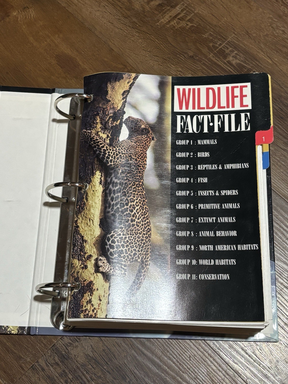 Wild Life Fact File Binders 1-11 Groups Home School Animal Identification
