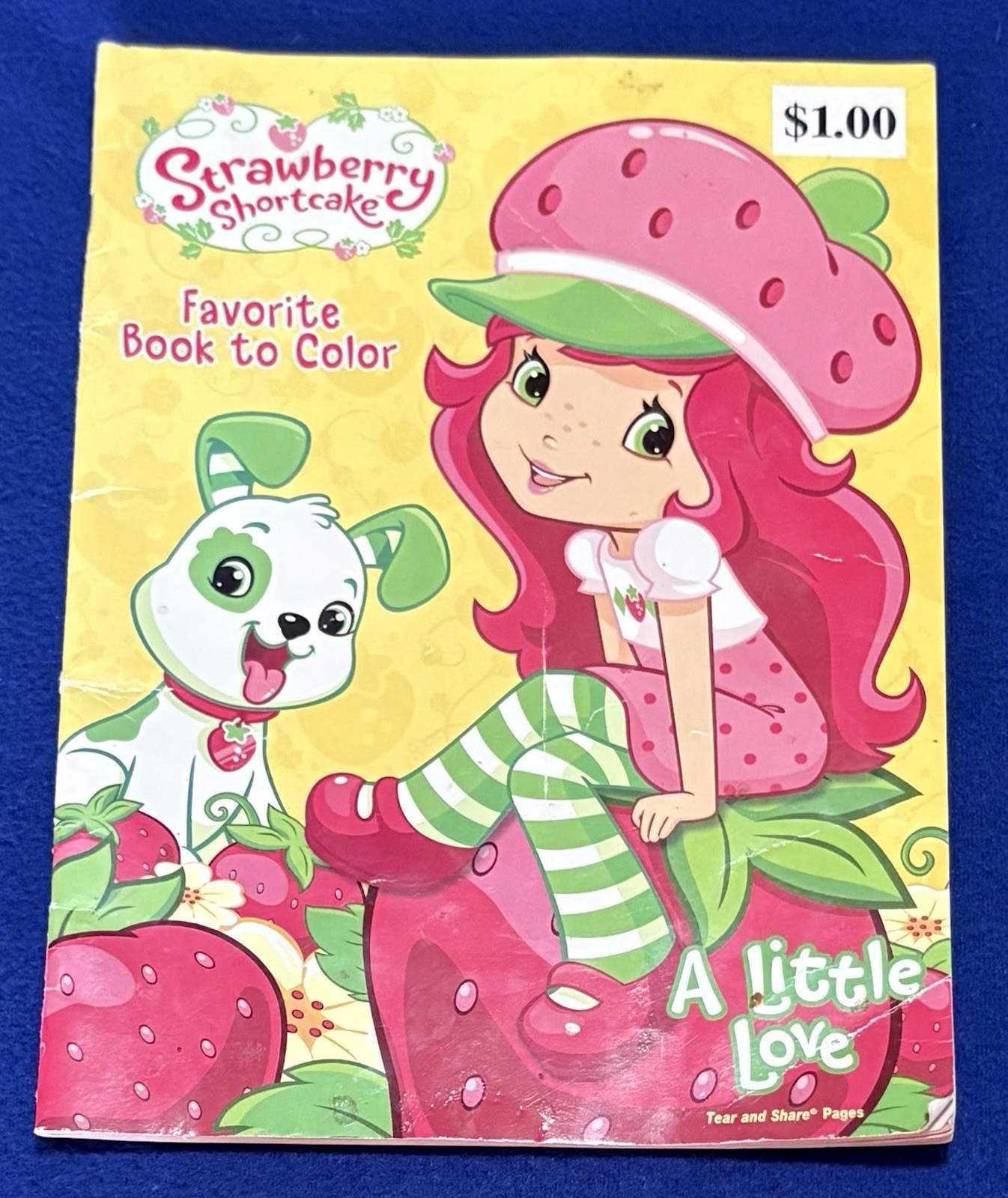 Kids Activity Bundle Coloring Books Flash Cards Crayola Backpack Lisa Frank