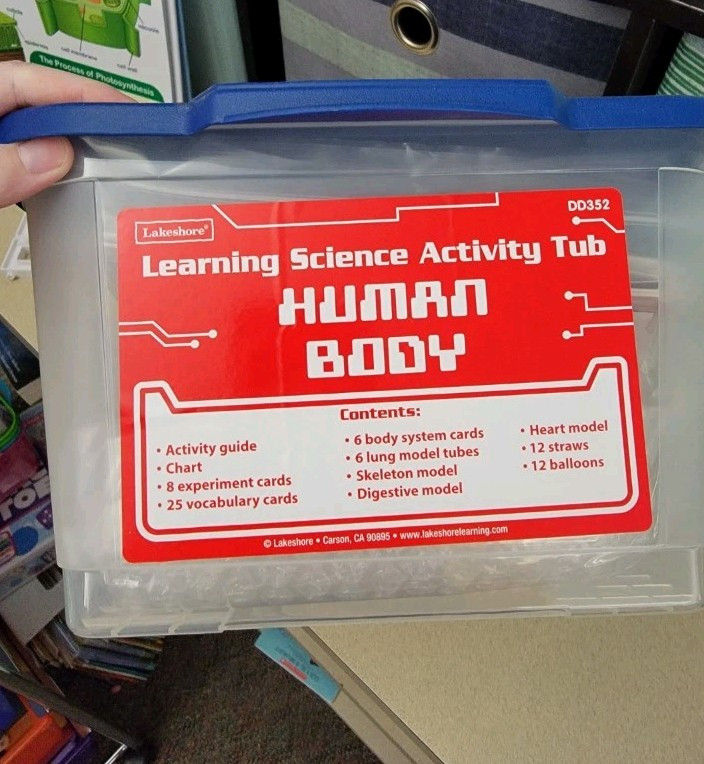 Lakeshore Human Body Activity Tub New And Human Body Pull Apart Game