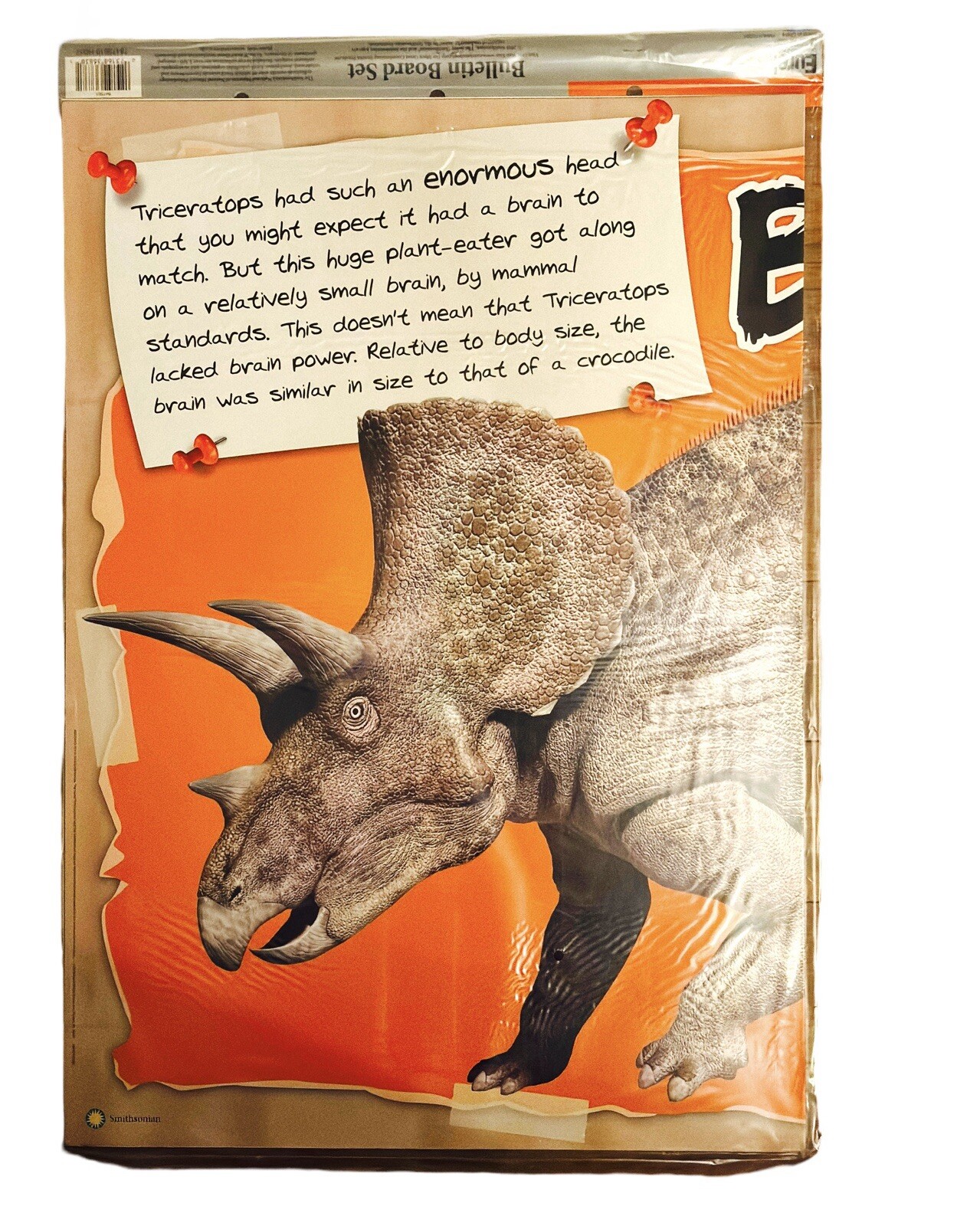 Eureka Smithsonian Triceratops Dinosaur Facts Bulletin Board Classroom Decor 6pc