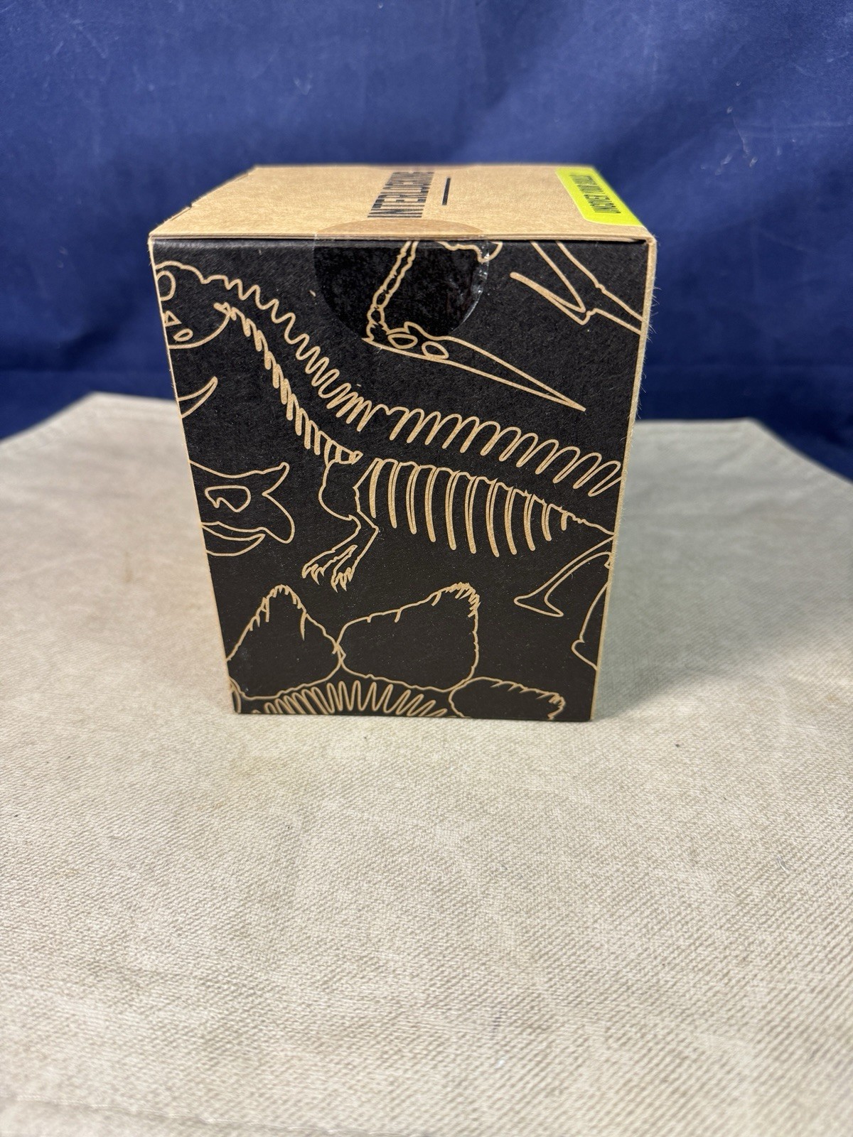 Protocol Dinosaur Fossil T-Rex 3D-Puzzle Excavation Kit w/Bonus Fossil