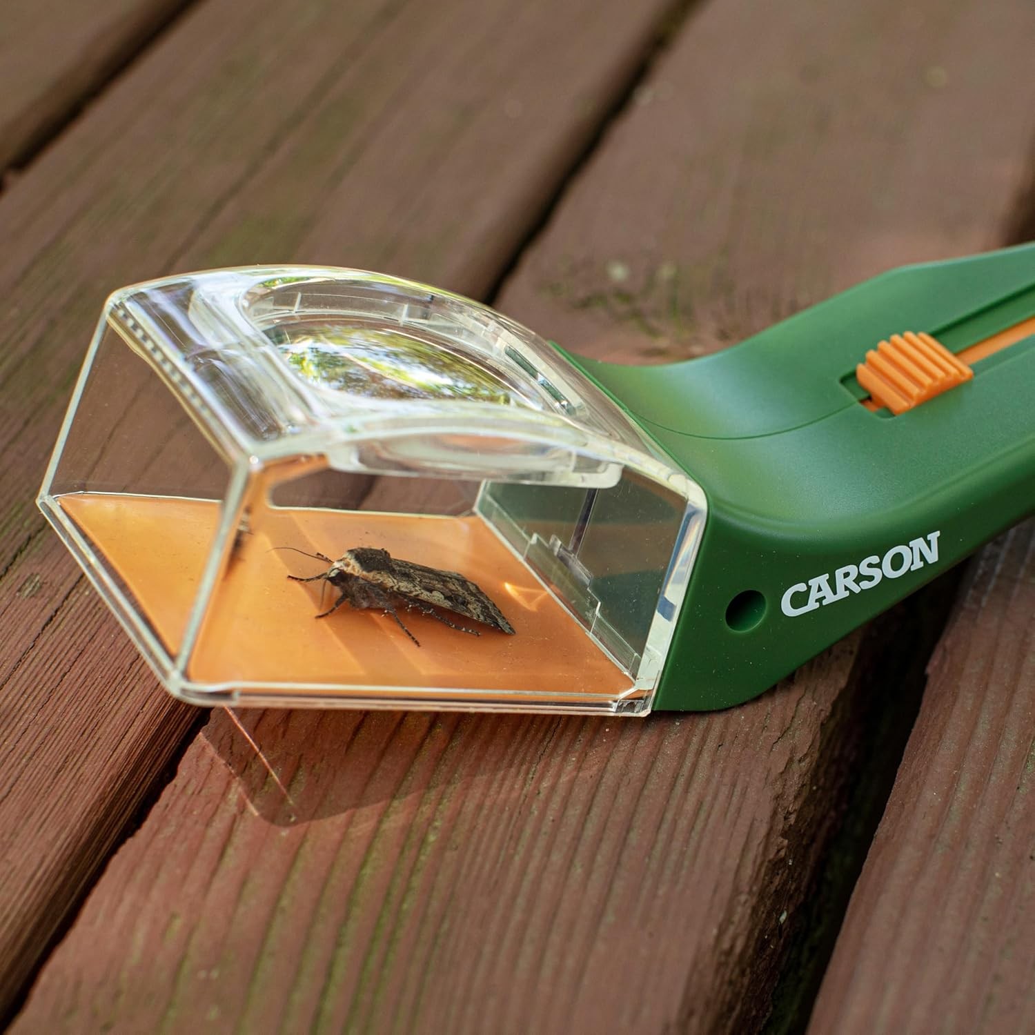 Carson BugView Quick-Release Bug Catching Tool and Magnifier for Children and Ad