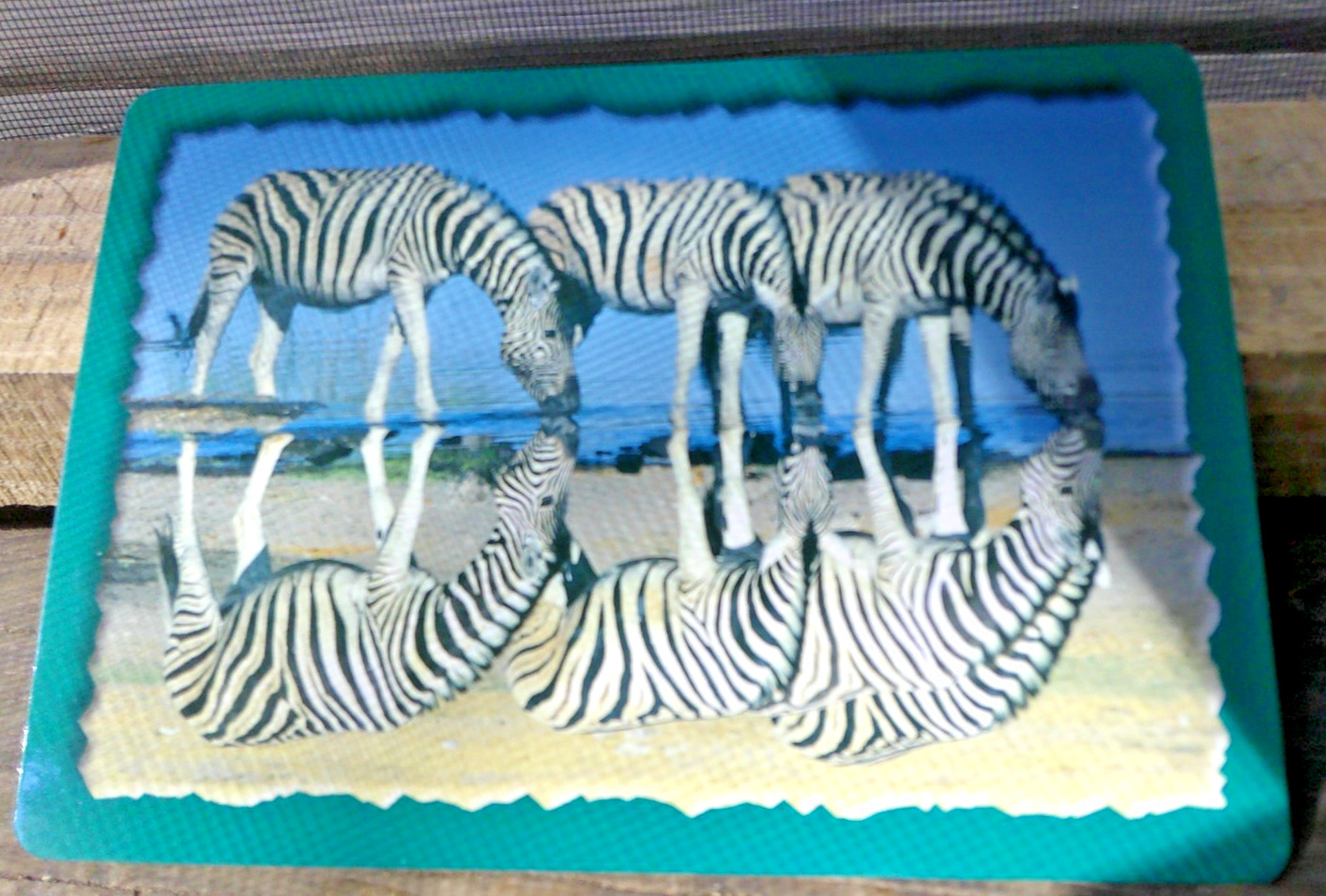 99 Learning Resourced Animal Classifying Cards ~ Desert ~ Forest ~ Ocean ~ 7″x5″
