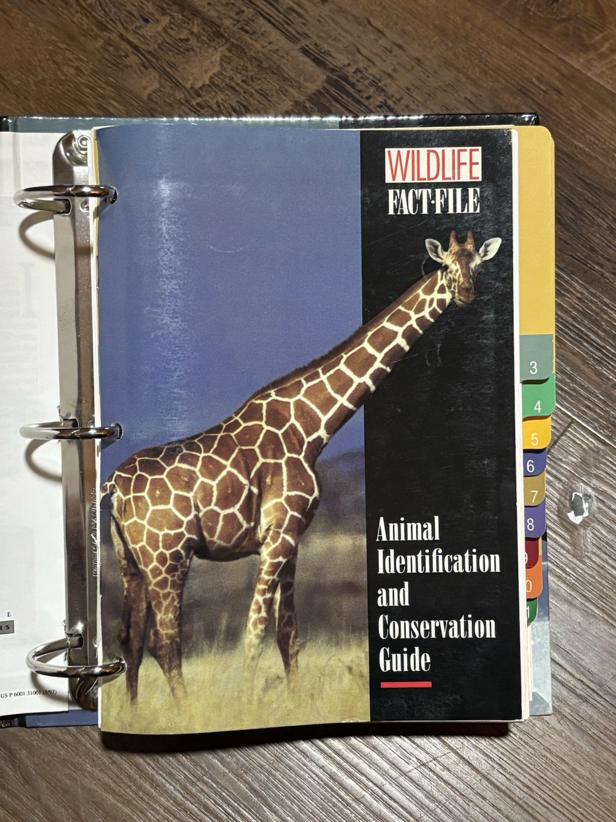 Wild Life Fact File Binders 1-11 Groups Home School Animal Identification