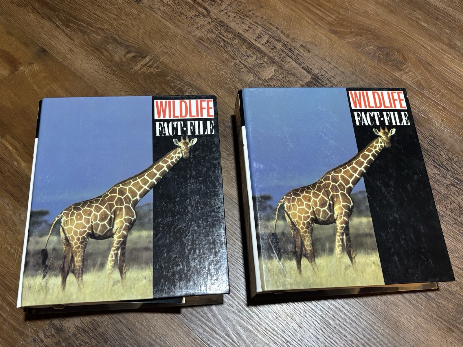 Wild Life Fact File Binders 1-11 Groups Home School Animal Identification