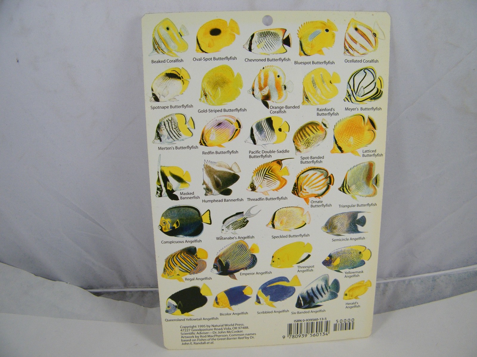 4 FISH GUIDE CARDS NETHERLANDS ANTILLES, MICRONESIA, W CENTRAL PACIFIC, PACIFIC