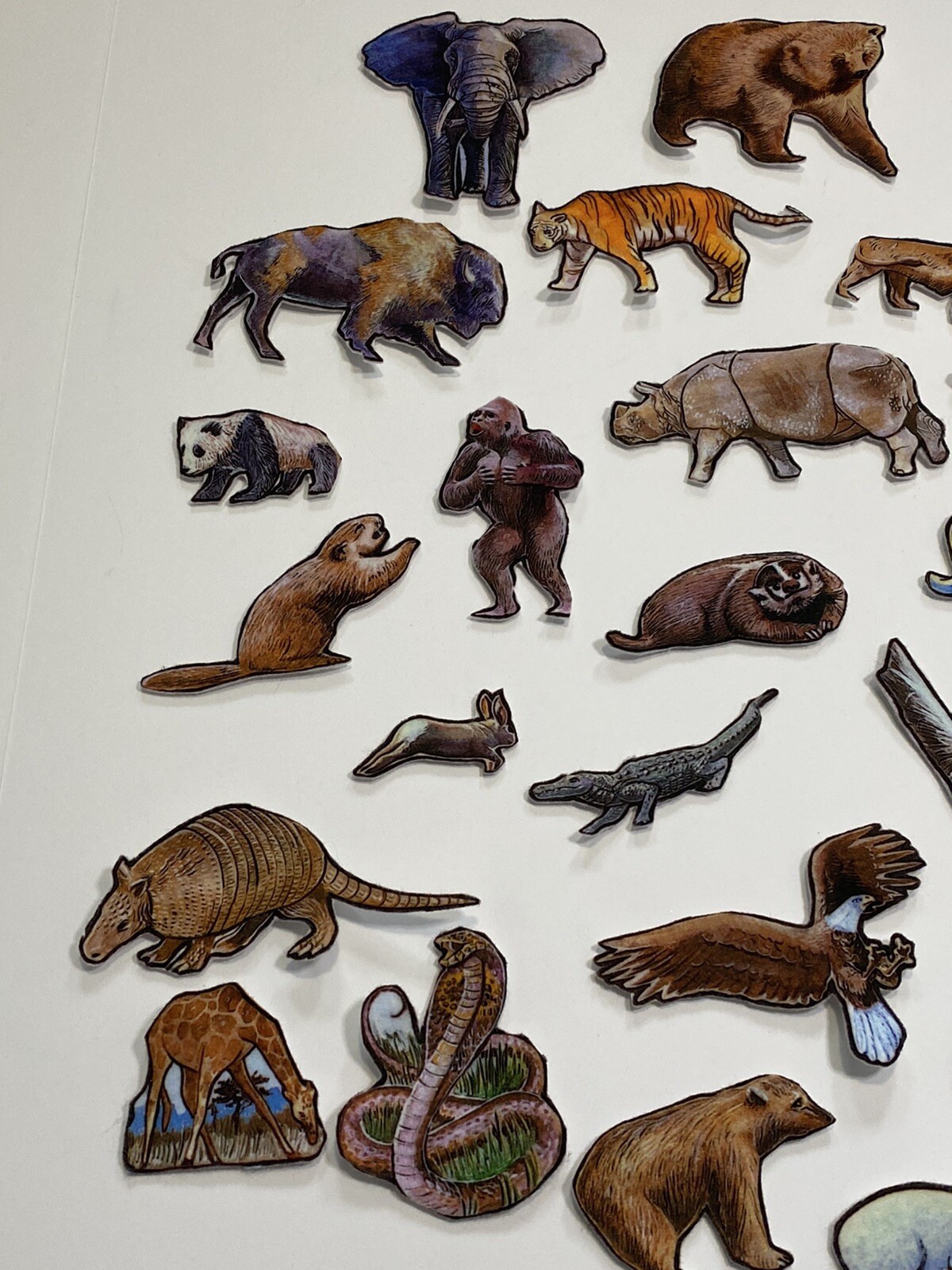 Story Teller Felt Story Wild Animals 28 Individual Felt Pieces Cut LOT