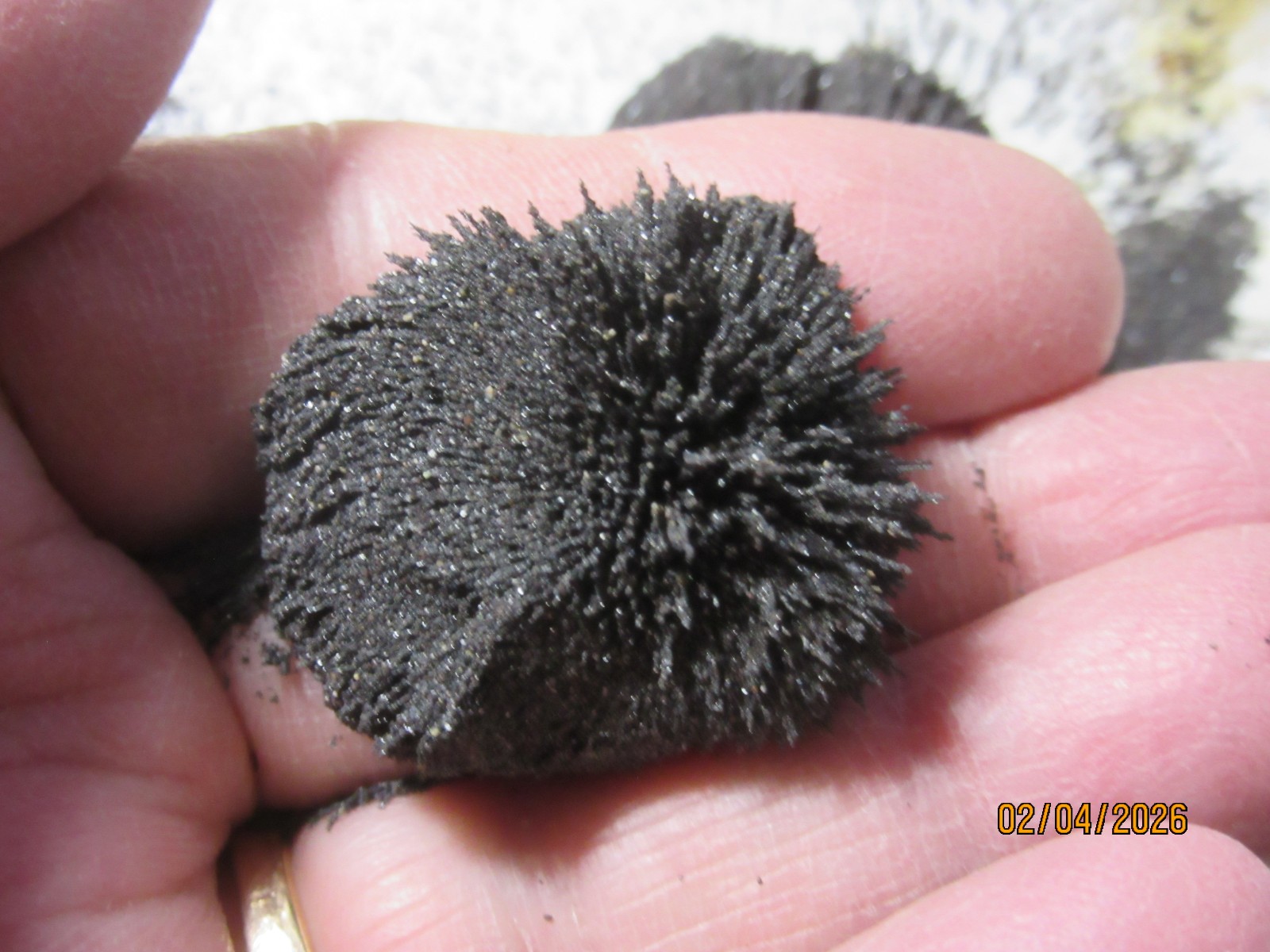Two Magnet Magnetic Sand 2.25 Ounce Educational Toy TMMSE-319