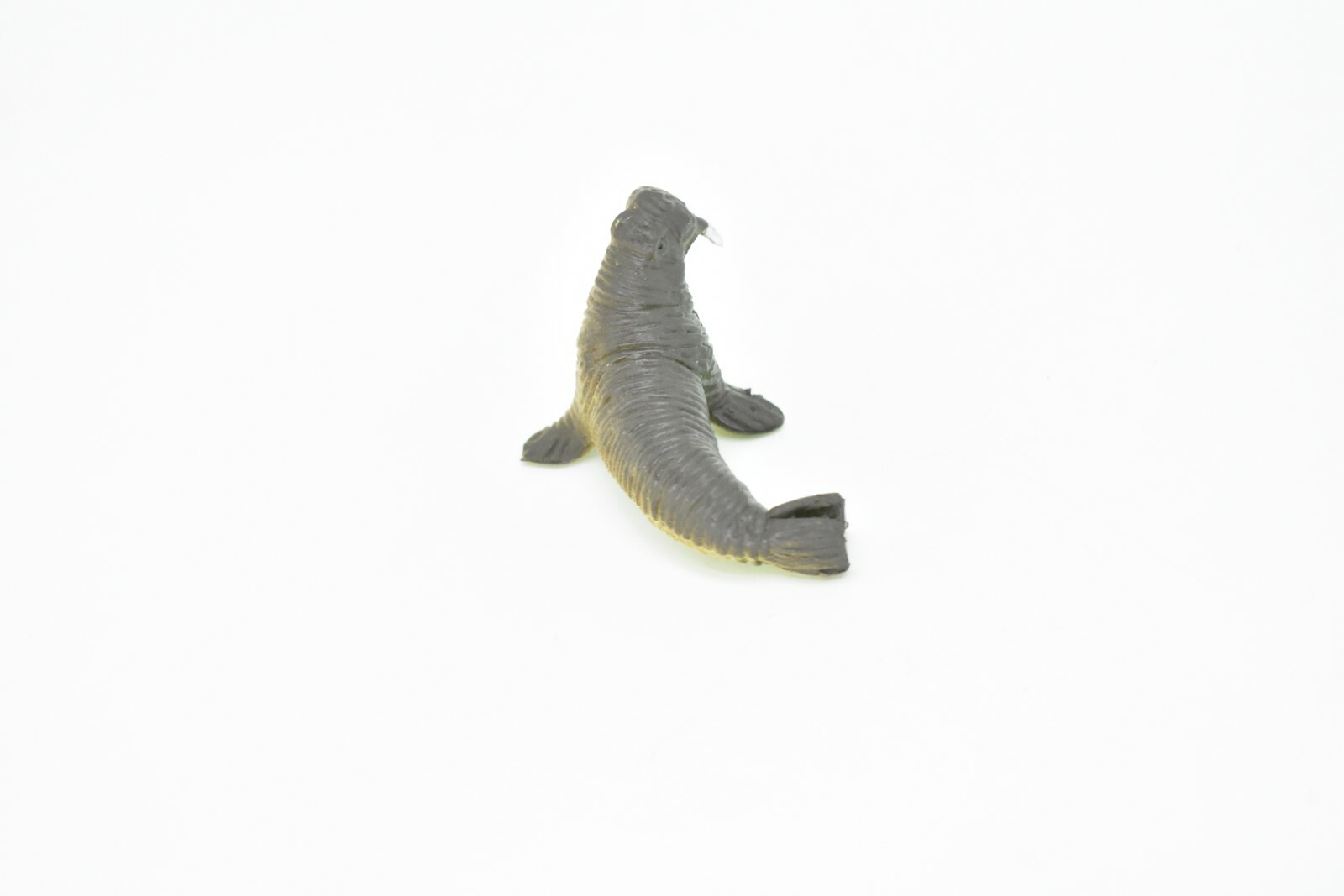 Walrus, Very Nice Plastic Replica 2″ – F220 B36