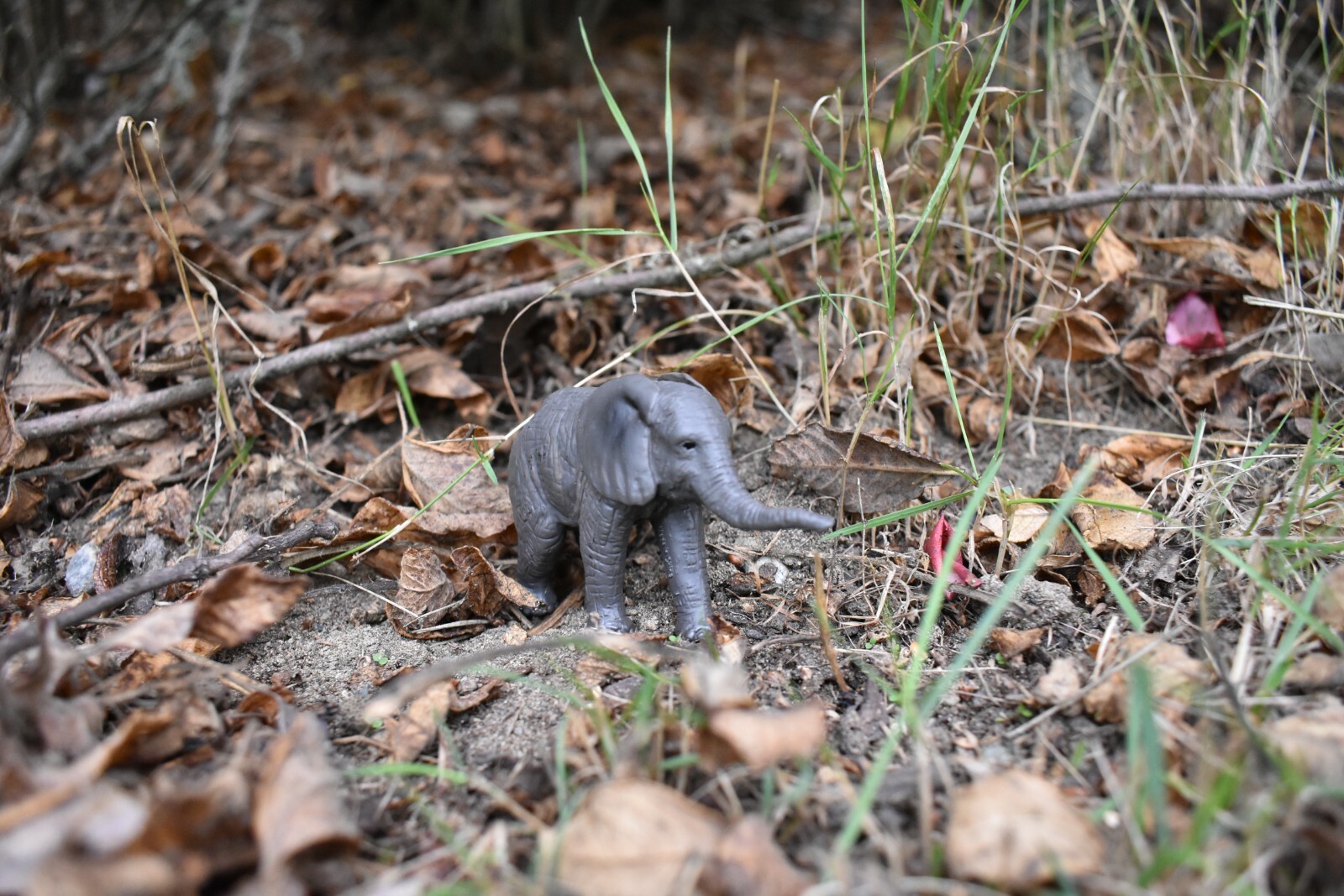 Elephant Calf Realistic Small Toy Model Plastic Replica Animal Gift 3.5″ M115