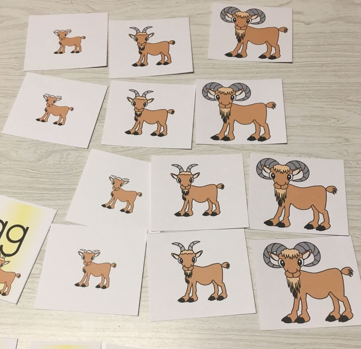 GOATS – Themed Learning Activities Package – LAMINATED – Teaching supplies