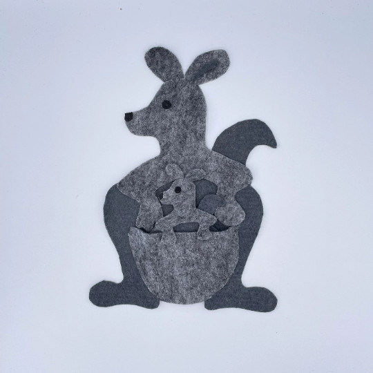 What’s In My Pocket ? Sample Set for Felt or Flannel Board Play