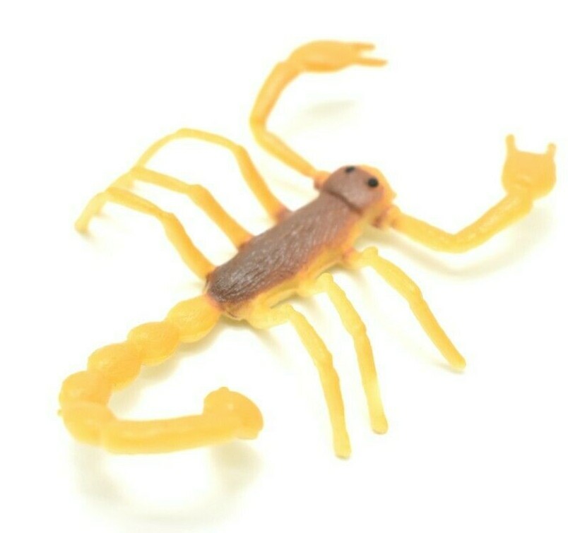 Scorpion Orange Black Plastic 2.5 inches Length – F1055 B190