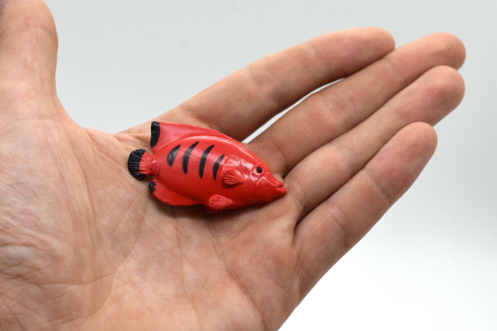 Toy Angelfish, Flame Angel Fish, Tropical, Red Rubber Fish, Realistic, F1786B145