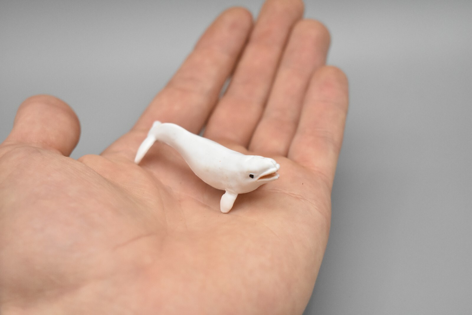 Beluga Whale, Very Nice Plastic Replica 2 1/2 inches long – F3504 B67