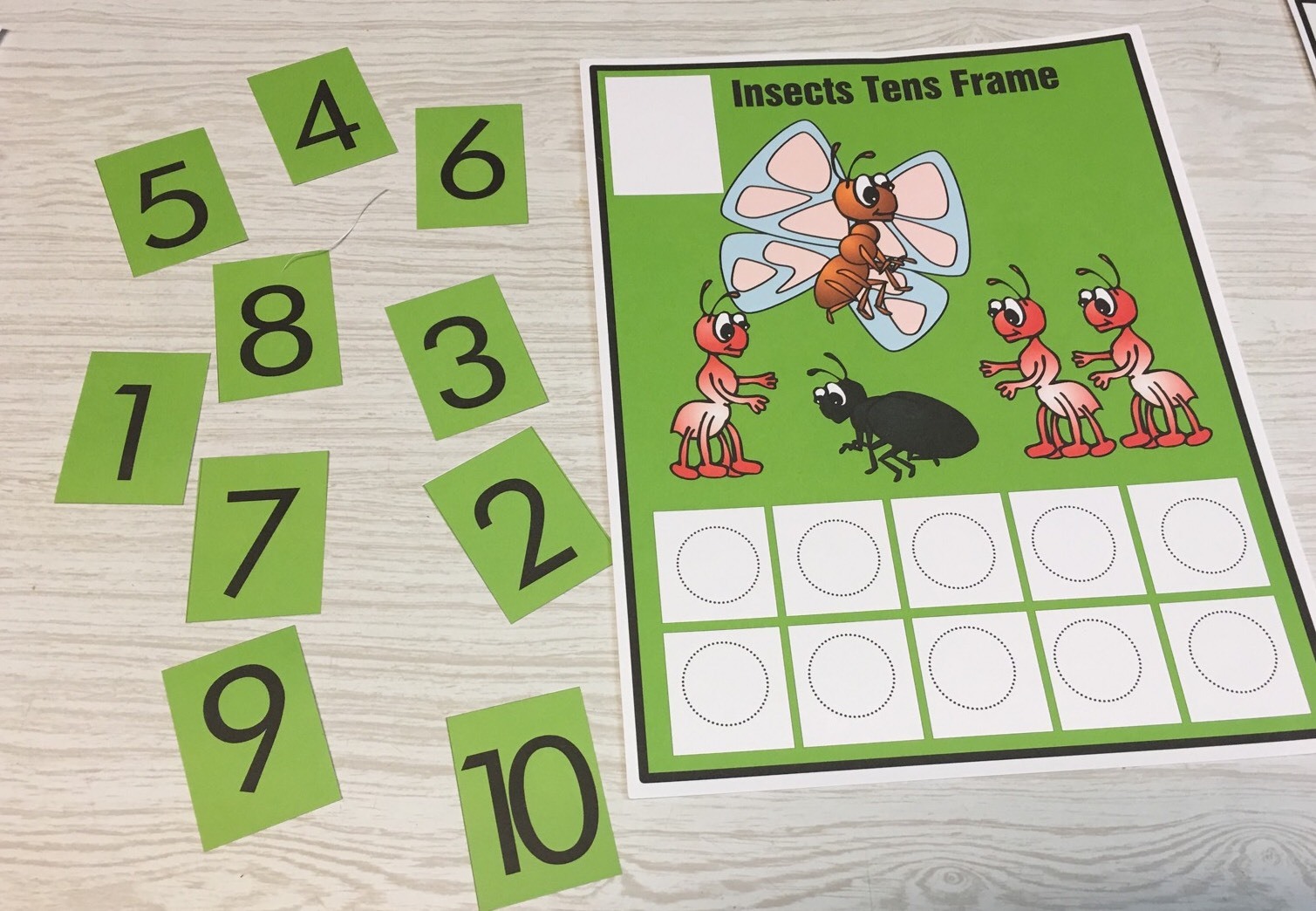 INSECTS-THEMED Learning Activities Package LAMINATED preschool Daycare