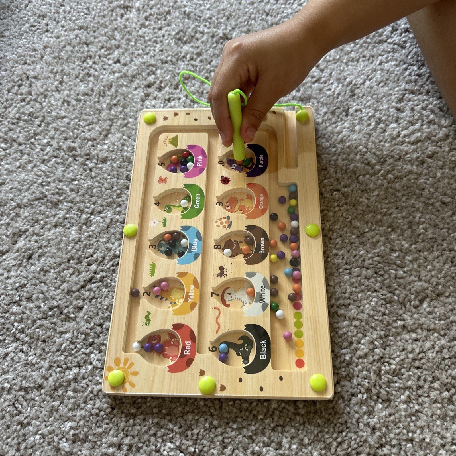Magnetic Dinosaurs Eggs (alphabet, Colors & Numbers) Preschool/ Homeschooling
