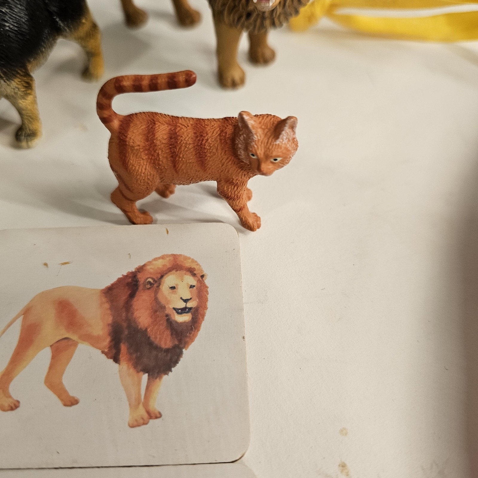 Montessori Animal Matching Game Figures & Flash Cards Sensory Learning Toy