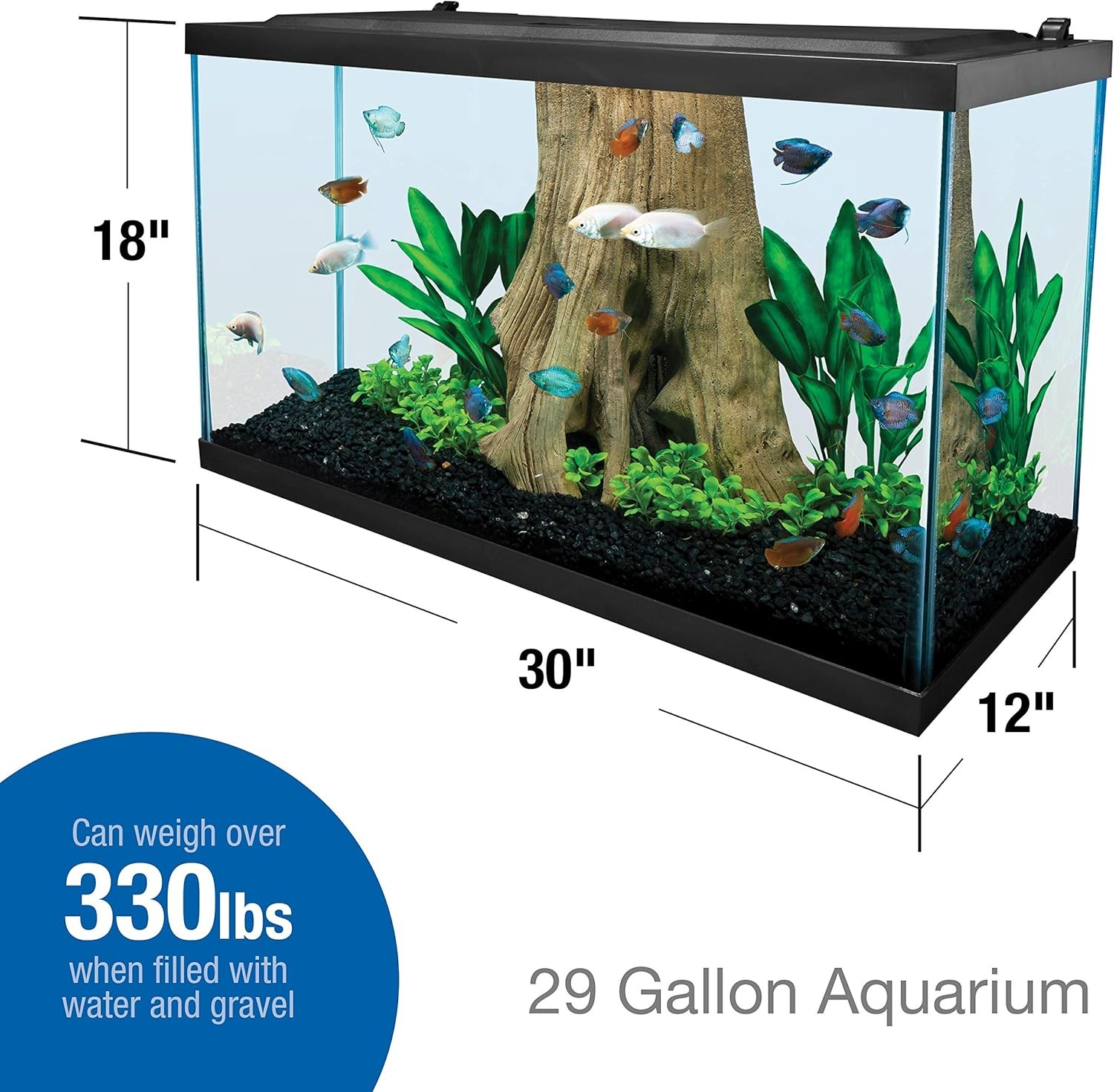 Glass Aquarium 29 Gallons, Rectangular Fish Tank, Assorted Color