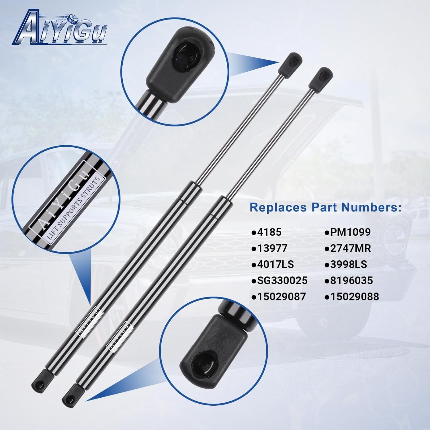 Rear Window Glass （not for Rear Tailgate）Shocks Struts Liftgate Charged Supp